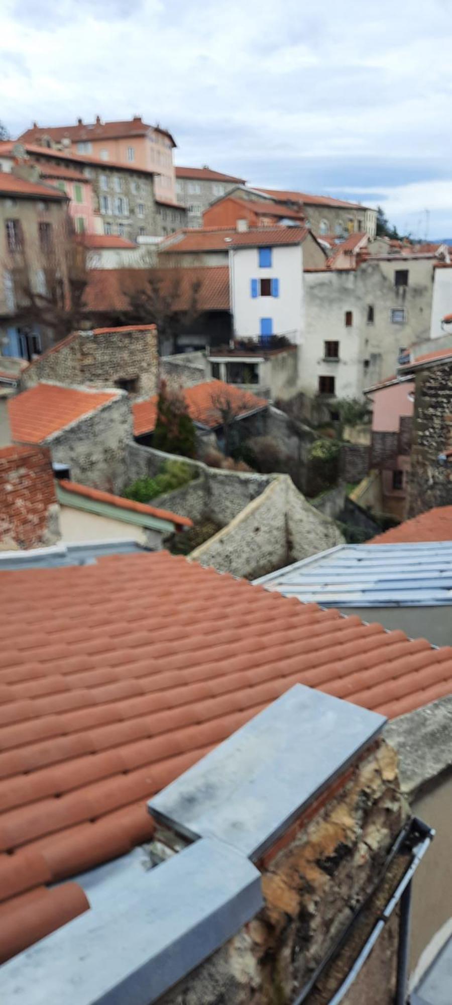 Bienvenue Chez Vous Apartment Le Puy-en-Velay Bagian luar foto